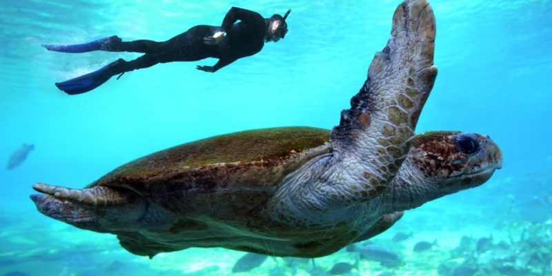 Now’s the Time to Buy That Tourism Business