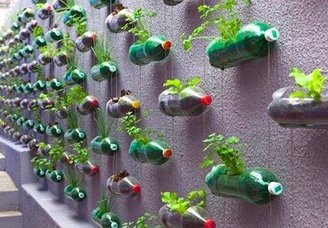 Yes You Can Put Your Garden In A Box!