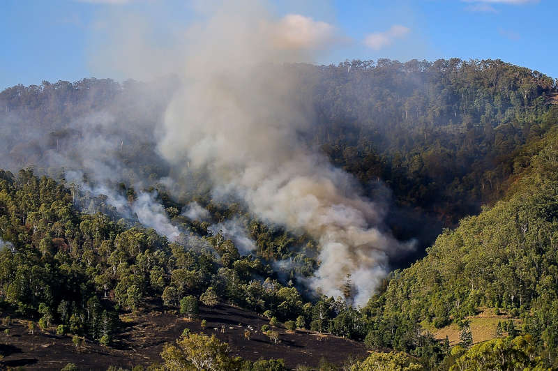 Scott Morrison Announces Government Help for Bushfire Victims