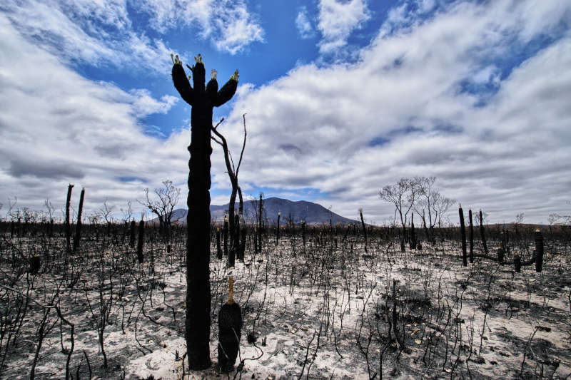 Tourism Industry Bushfire Recovery Fund