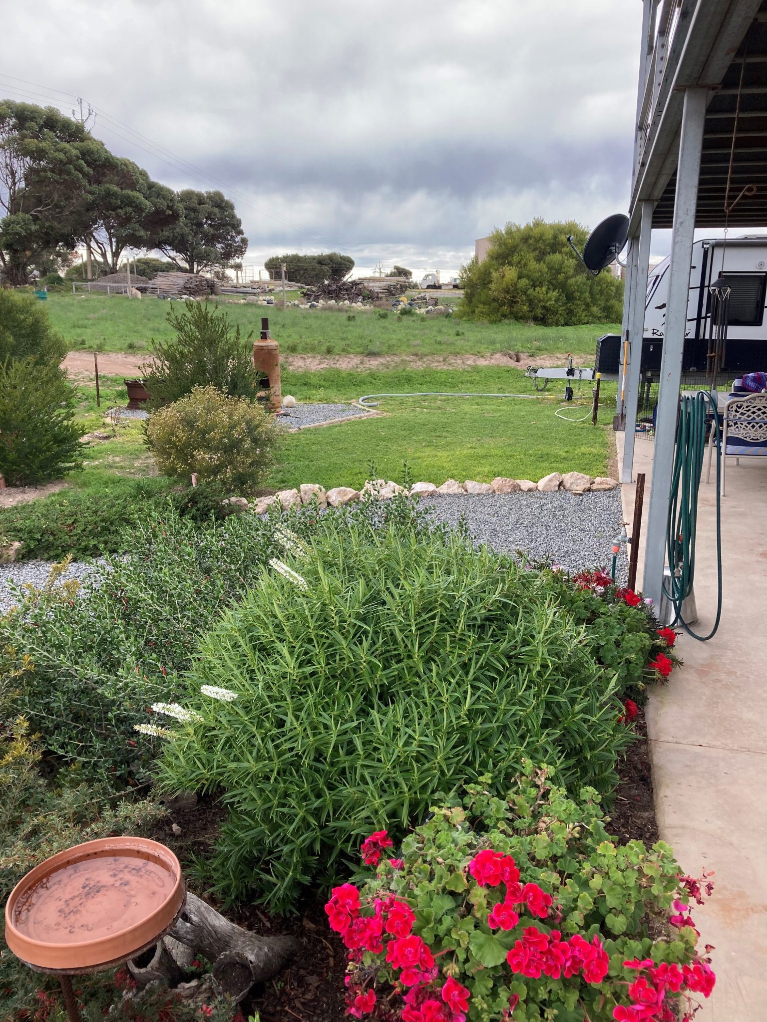 SOLD An Oyster Farm in Streaky Bay Operating Assets For Sale or Lease