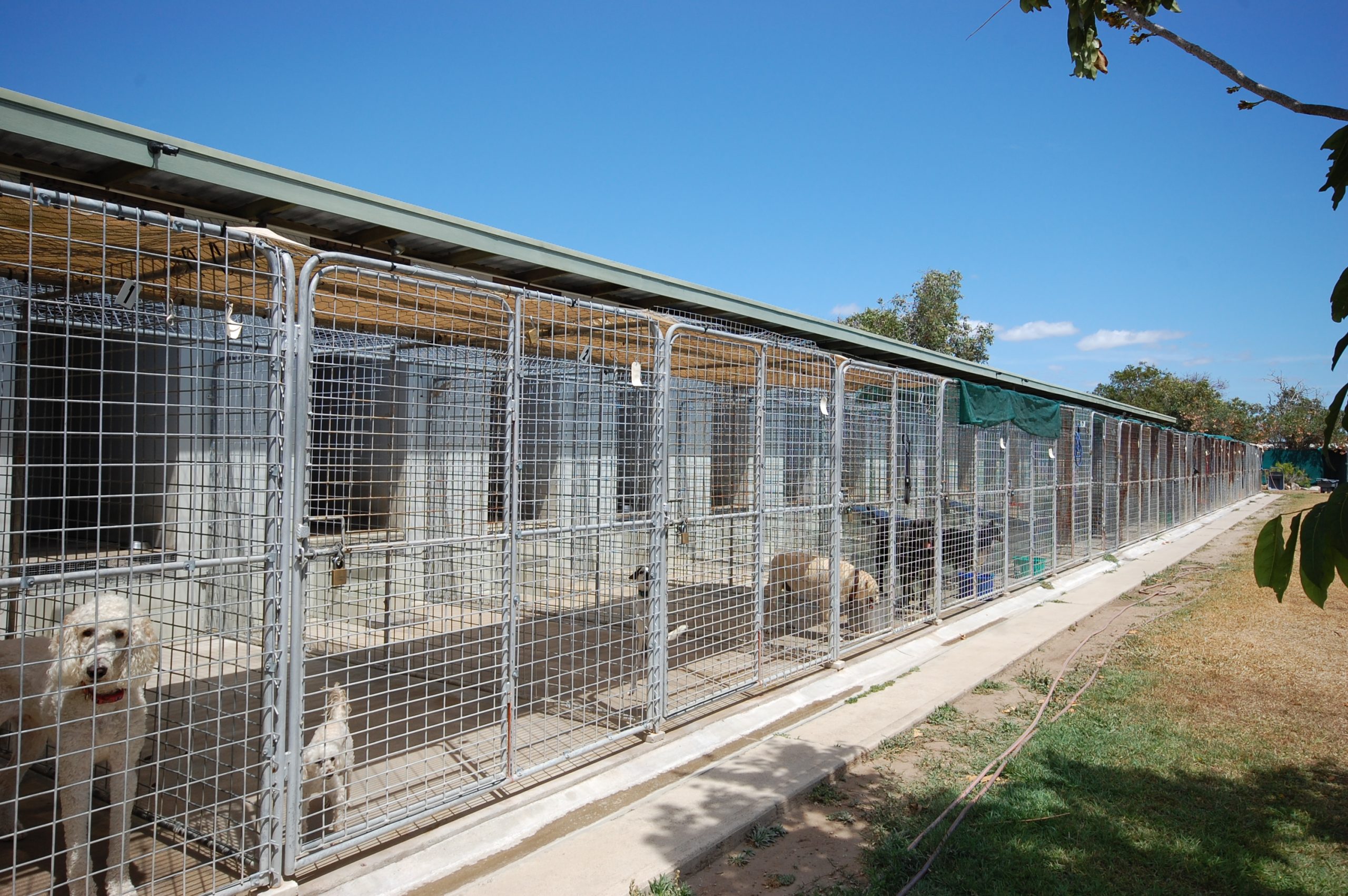 SOLD FREEHOLD Boarding Kennels, Residence on 5 Acres Bowen, North QLD